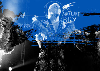 Cover di Nature Boy per MONDOSERIE