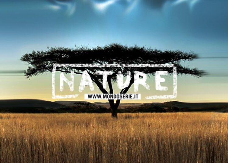 Cover di Nature per Mondoserie