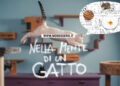 Cover di Nella mente di un gatto per Mondoserie