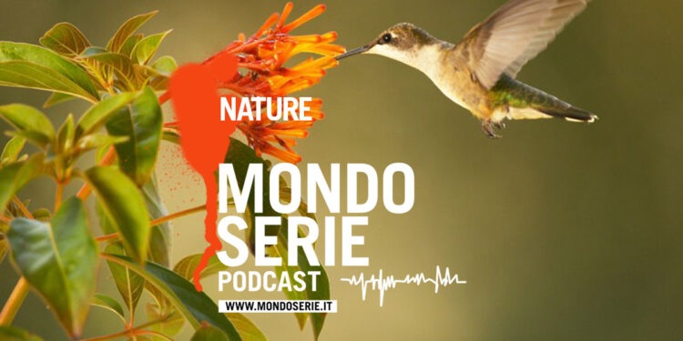 Cover di Nature podcast per Mondoserie