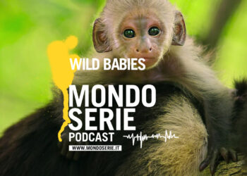 Cover di Wild Babies podcast per Mondoserie